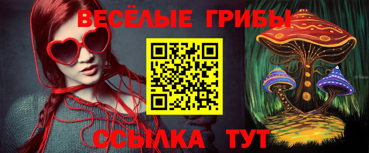 Псилоцибиновые грибы мицелий  Псилоцибиновые грибы Psilocybine cubensis  Вход с VPN  Славянск-на-Кубани 